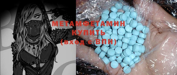 ГАЛЛЮЦИНОГЕННЫЕ ГРИБЫ Бородино