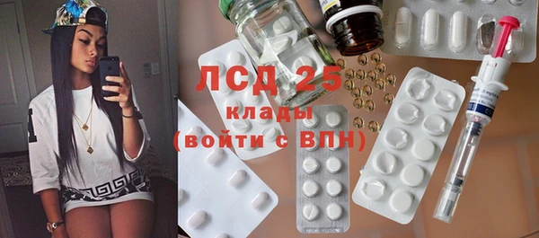 ГАЛЛЮЦИНОГЕННЫЕ ГРИБЫ Бородино