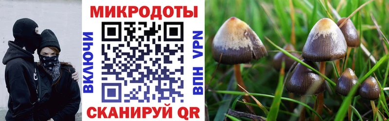 Галлюциногенные грибы мухоморы  гидра зеркало  Балашиха 